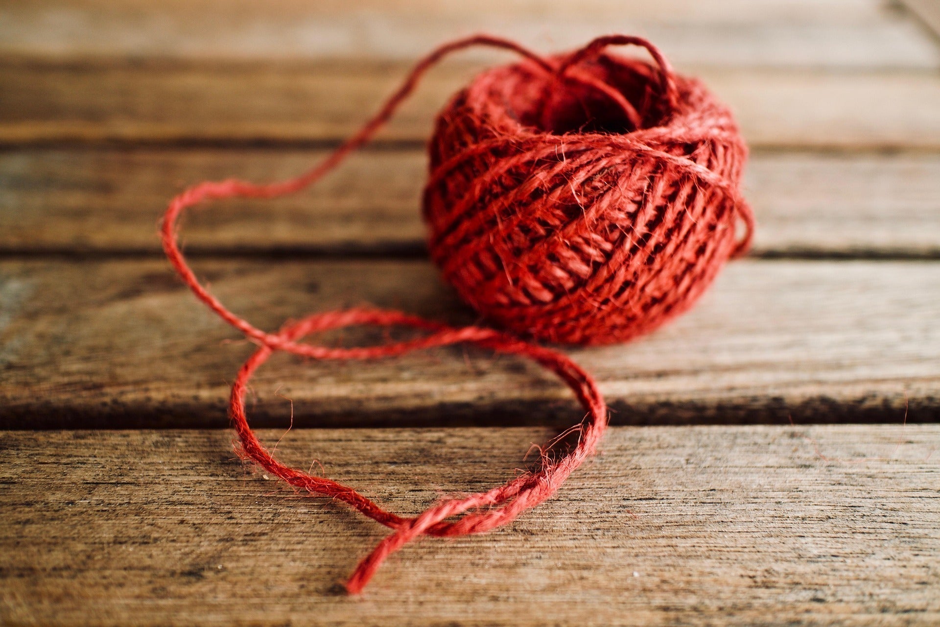 Kitchen to Playtime: 5 DIY Non-Toxic Pet Toys in Minutes