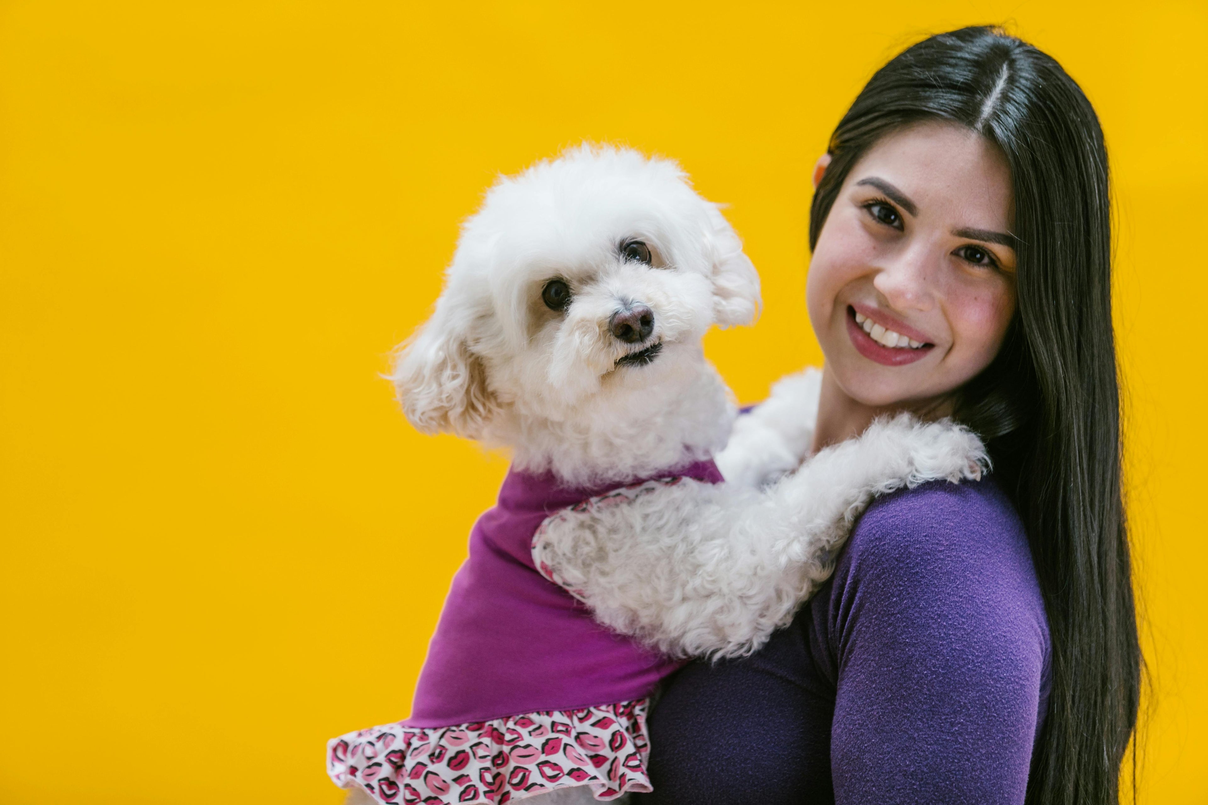 Are Sustainable Pet Products Always Better? An Honest Look