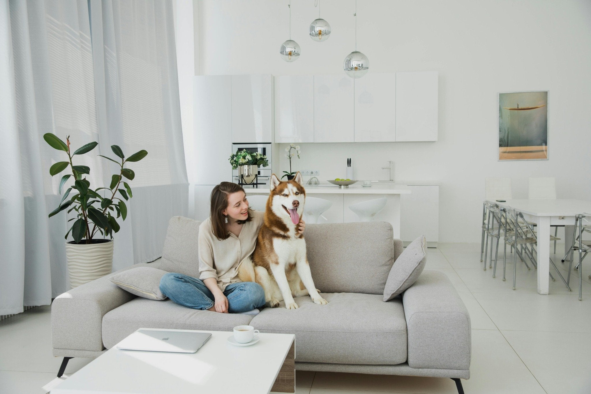 Pet-Friendly Home Design: Blending Style, Function, and Sustainability Seamlessly