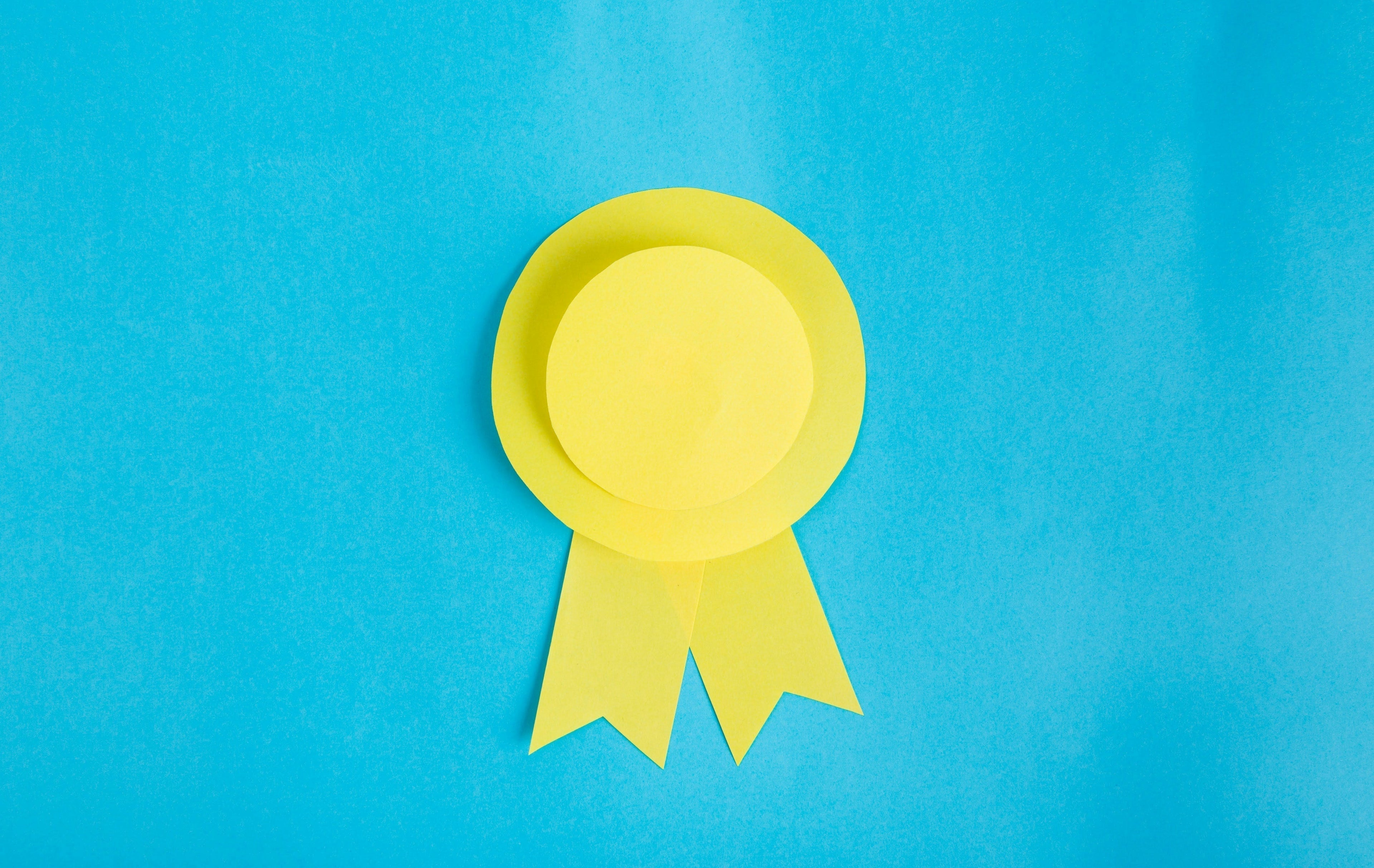 Pet Product Certifications Explained: What GOTS, OEKO-TEX, and B Corp Really Mean for Your Pet