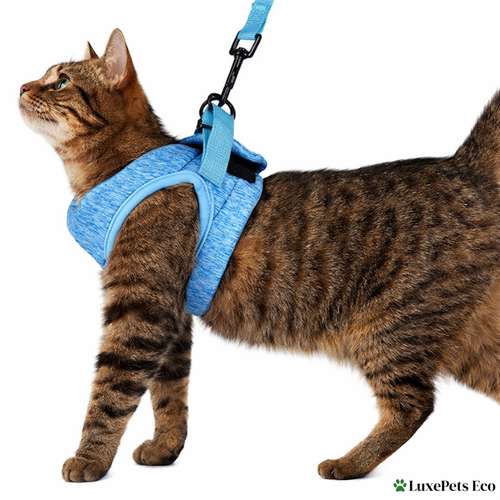 Escape-Proof Cat Harness & Leash Set.