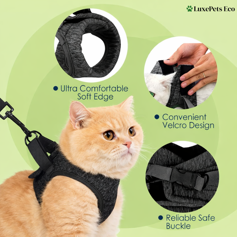 Adjustable Escape-Proof Cat Harness & Leash Set