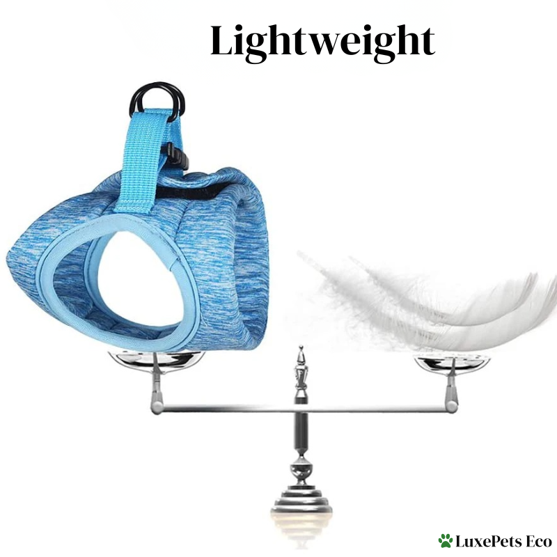 Adjustable Escape-Proof Cat Harness & Leash Set