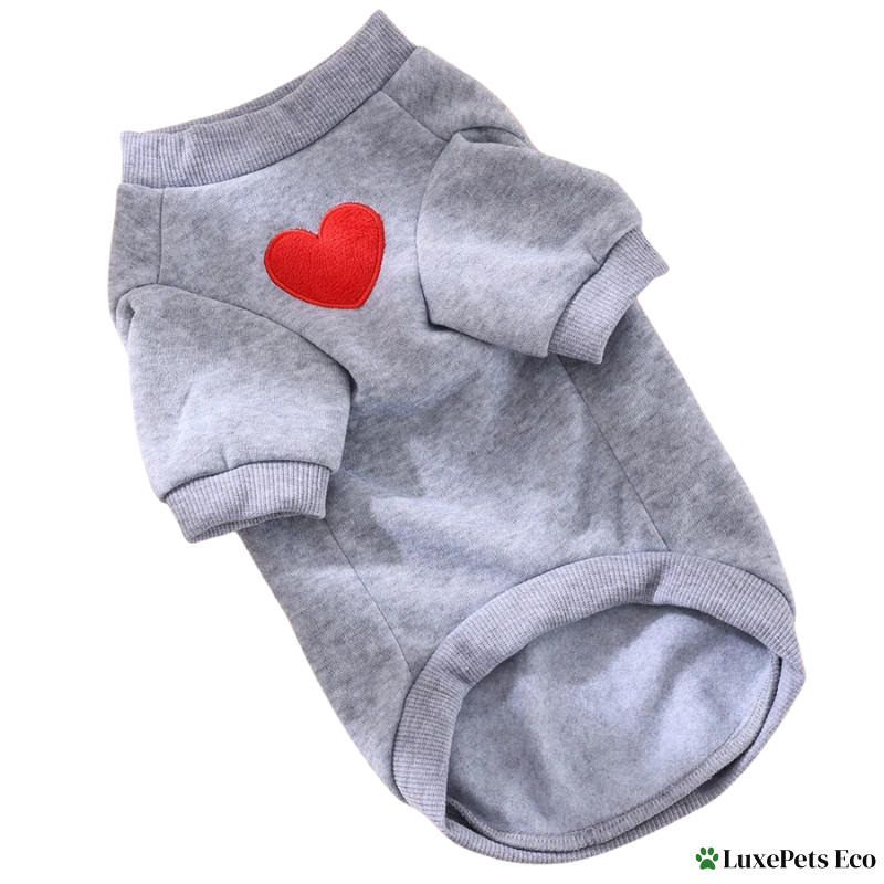 Cat & Small Dog Hoodie