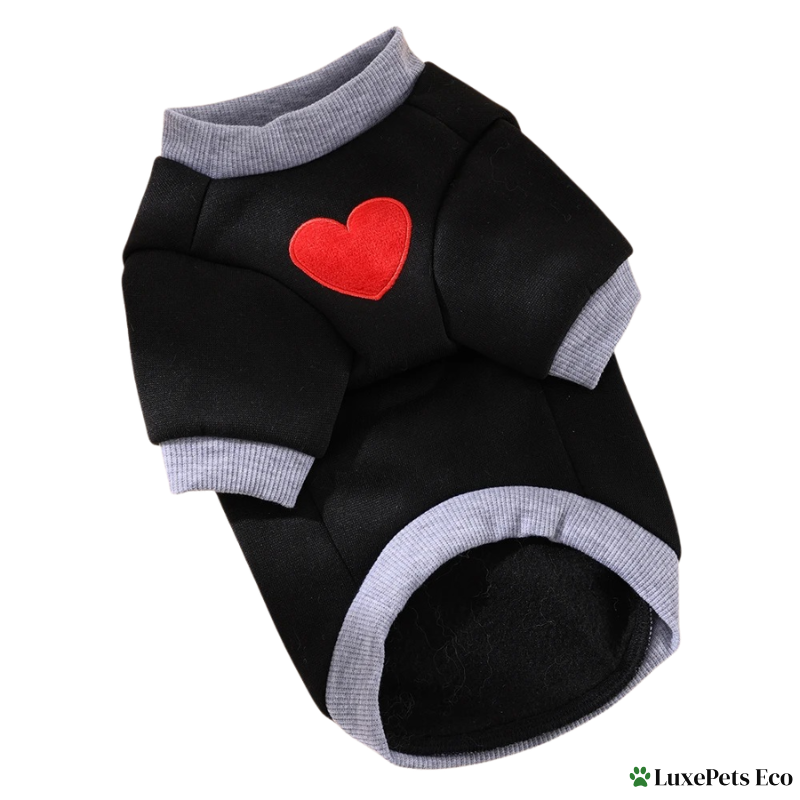 Cat & Small Dog Hoodie