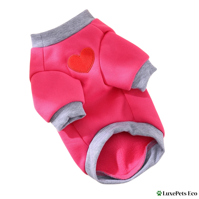 Cat & Small Dog Hoodie