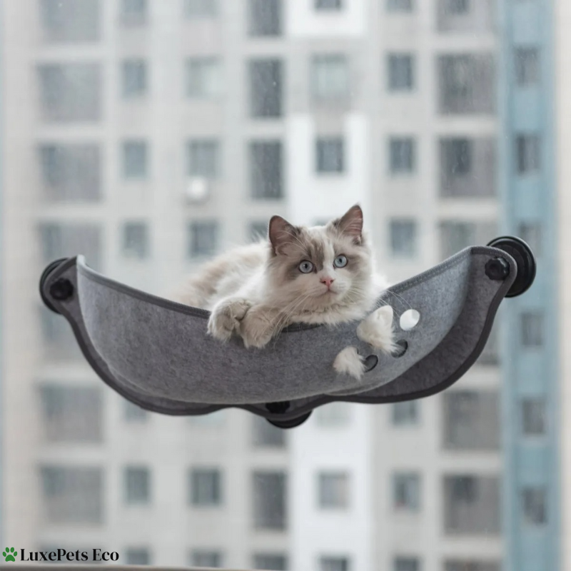 Cat Window Hammock Bed