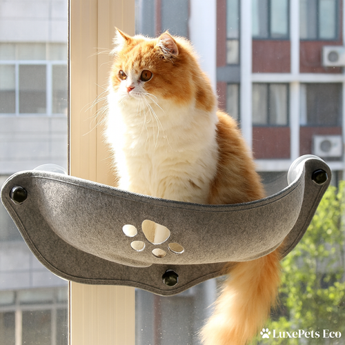 Cat Window Hammock Bed.