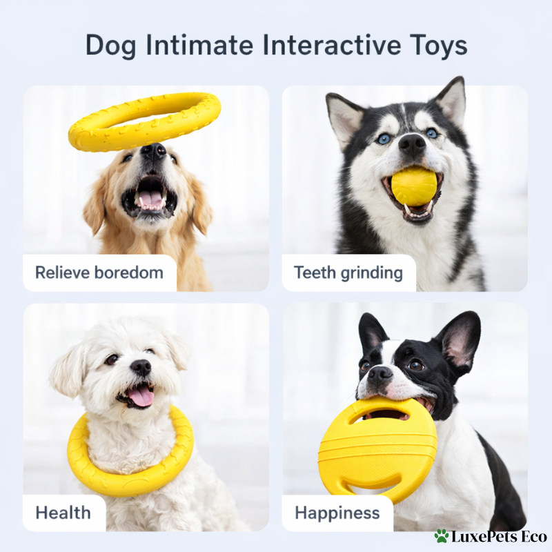 Durable Dog Toys Set.