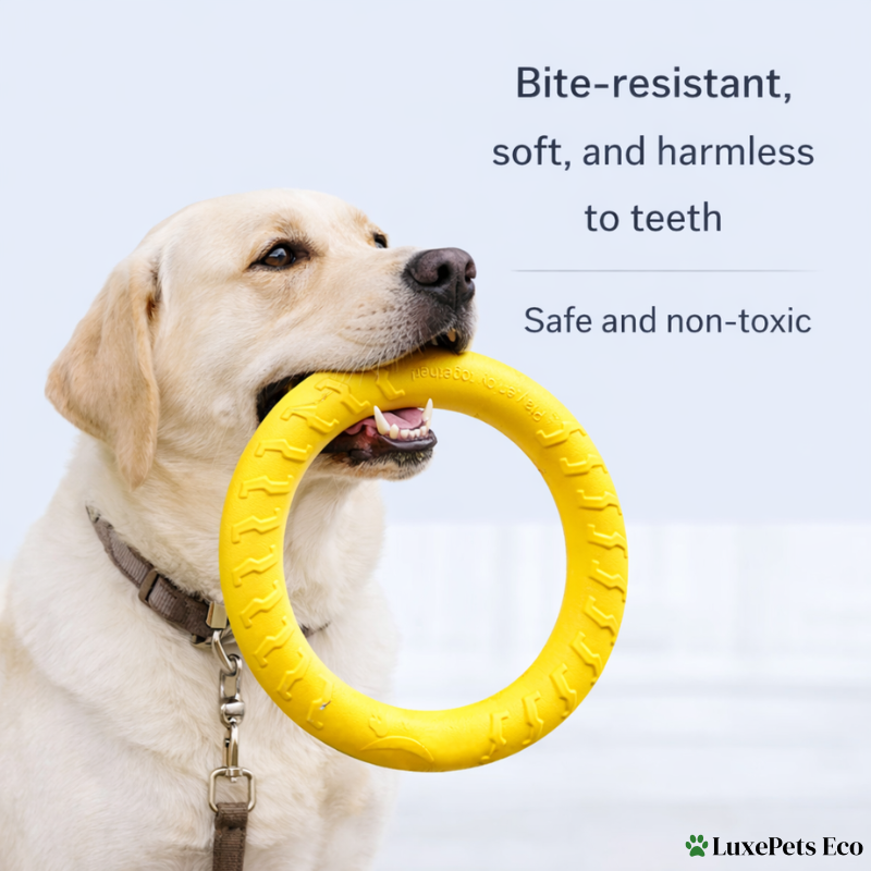 Durable Dog Toys Set.