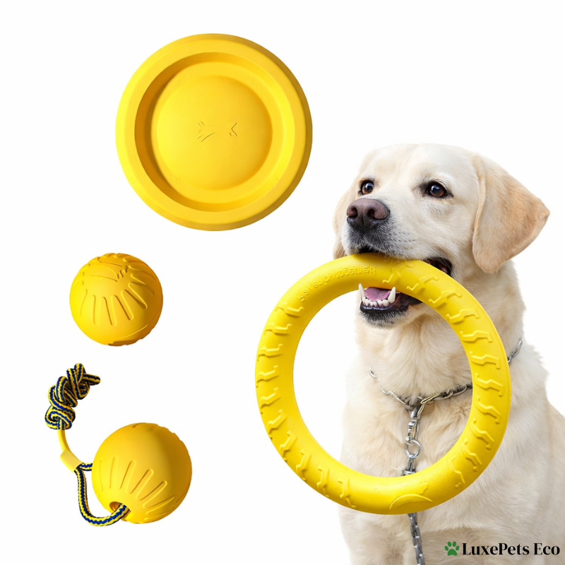 Durable Dog Toys Set.