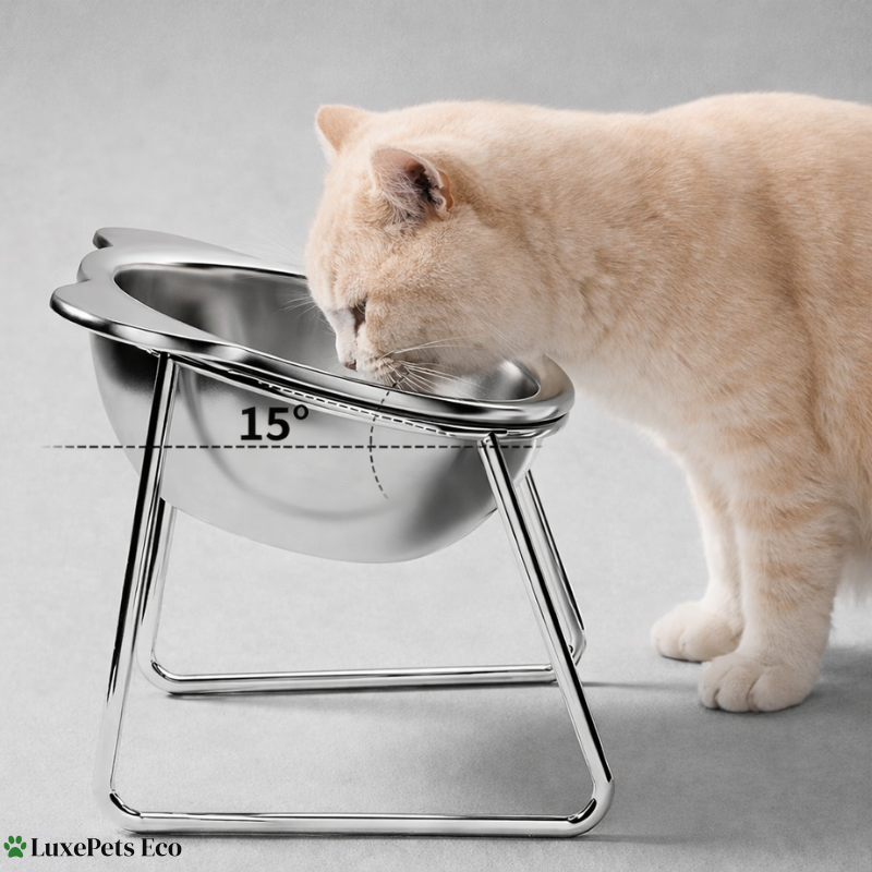 Elevated Stainless Steel Cat Bowls