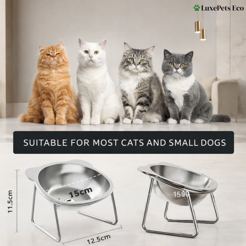 Elevated Stainless Steel Cat Bowls