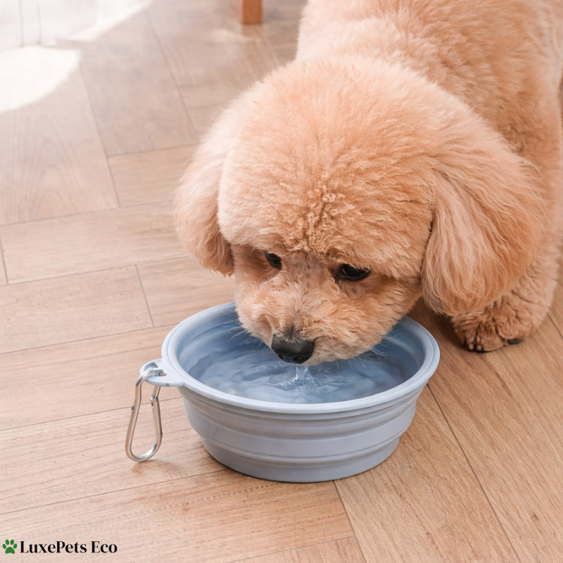 Dog Cat Foldable Silicone Travel Bowl