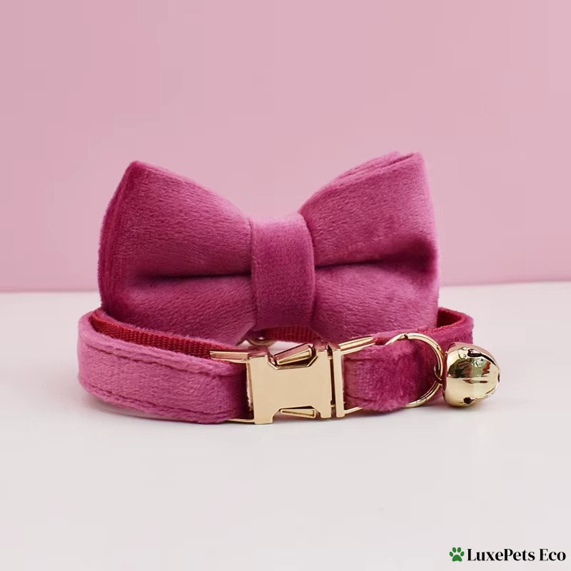 Personalized Velvet Cat Collar