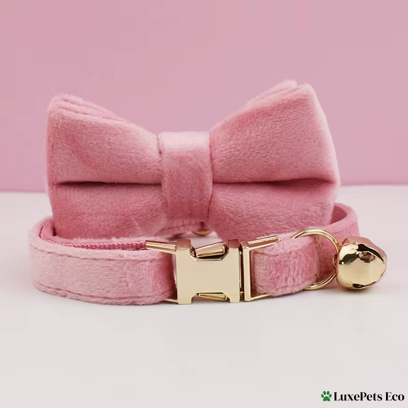 Personalized Velvet Cat Collar