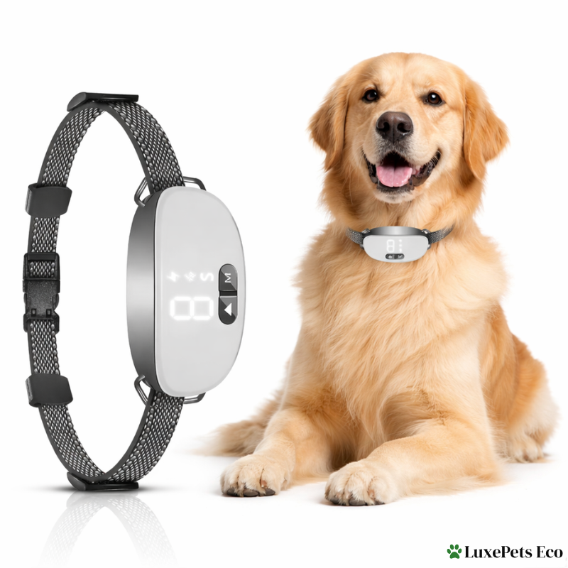 Smart Anti-Bark Dog Collar