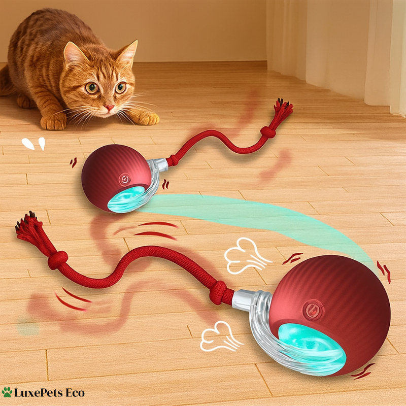 Automatic Smart Cat Toy Ball