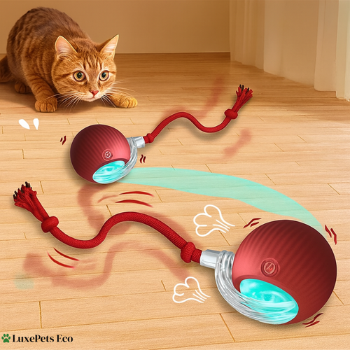 Automatic Smart Cat Toy Ball