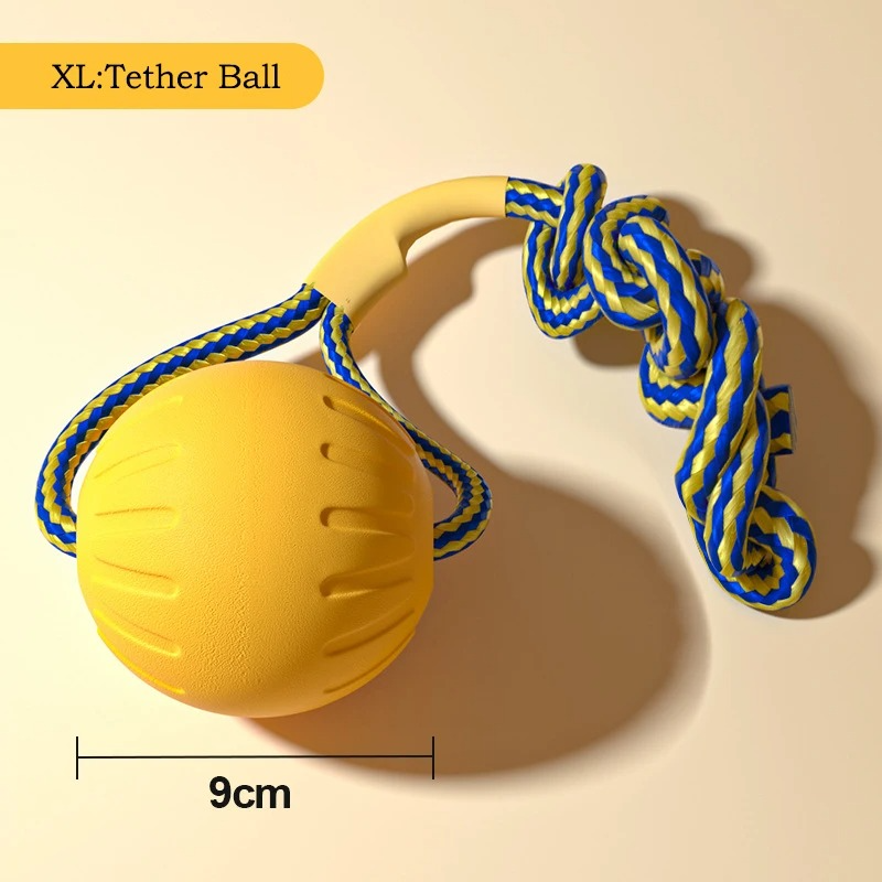 Durable Dog Toys Set.