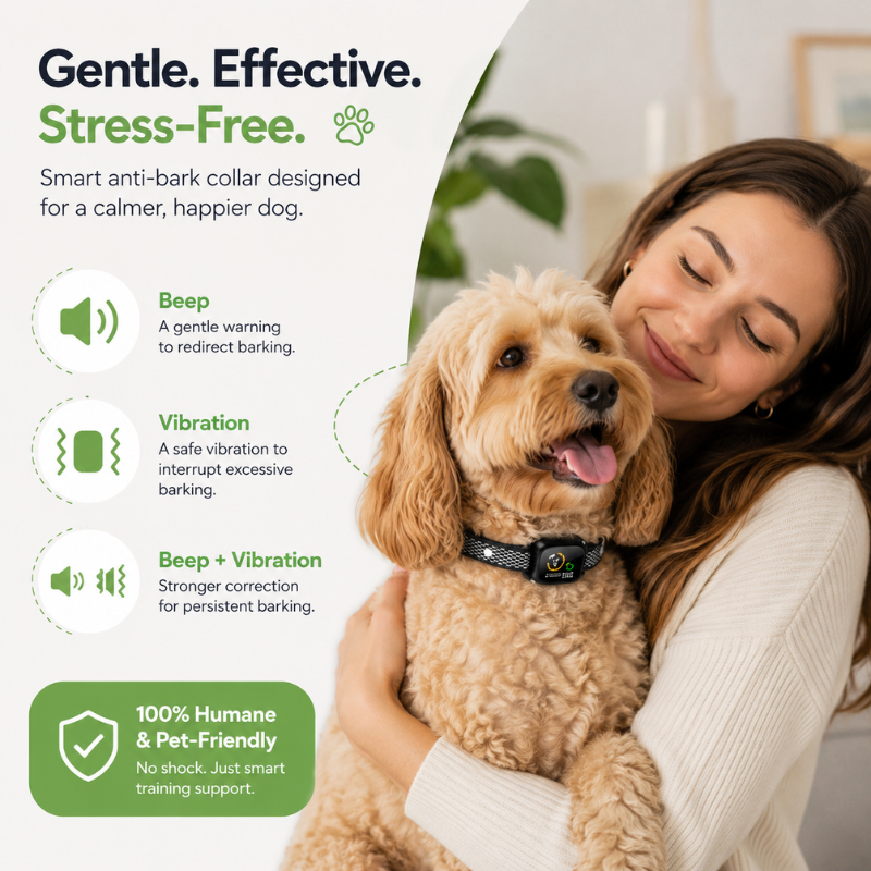 Anti Bark Training Collar